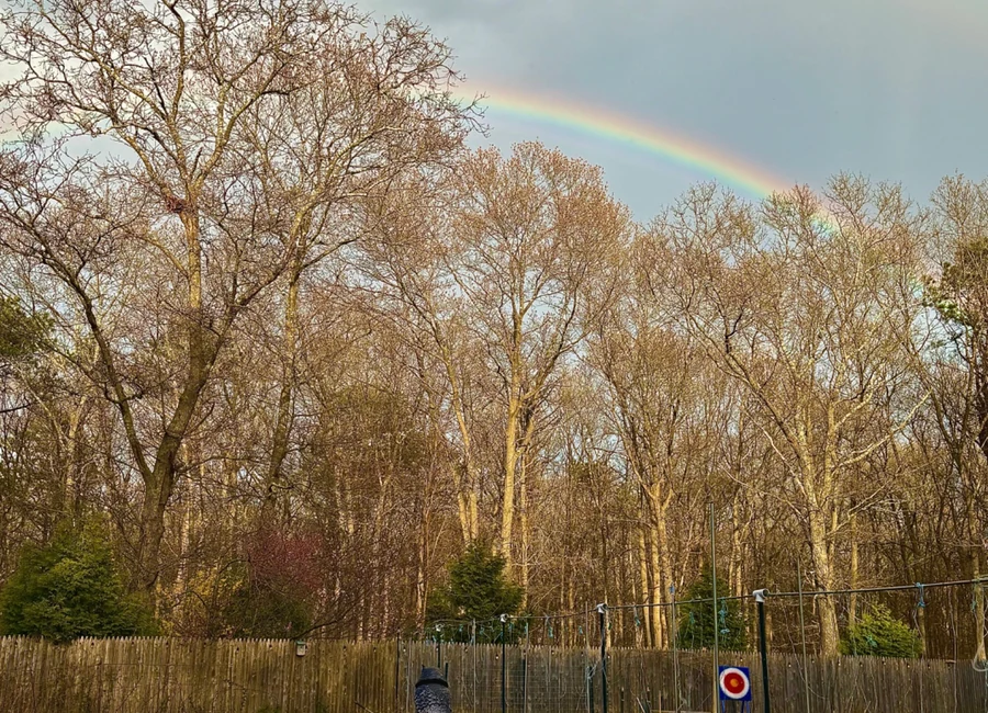 Working garden and wooded property beneath a rainbow